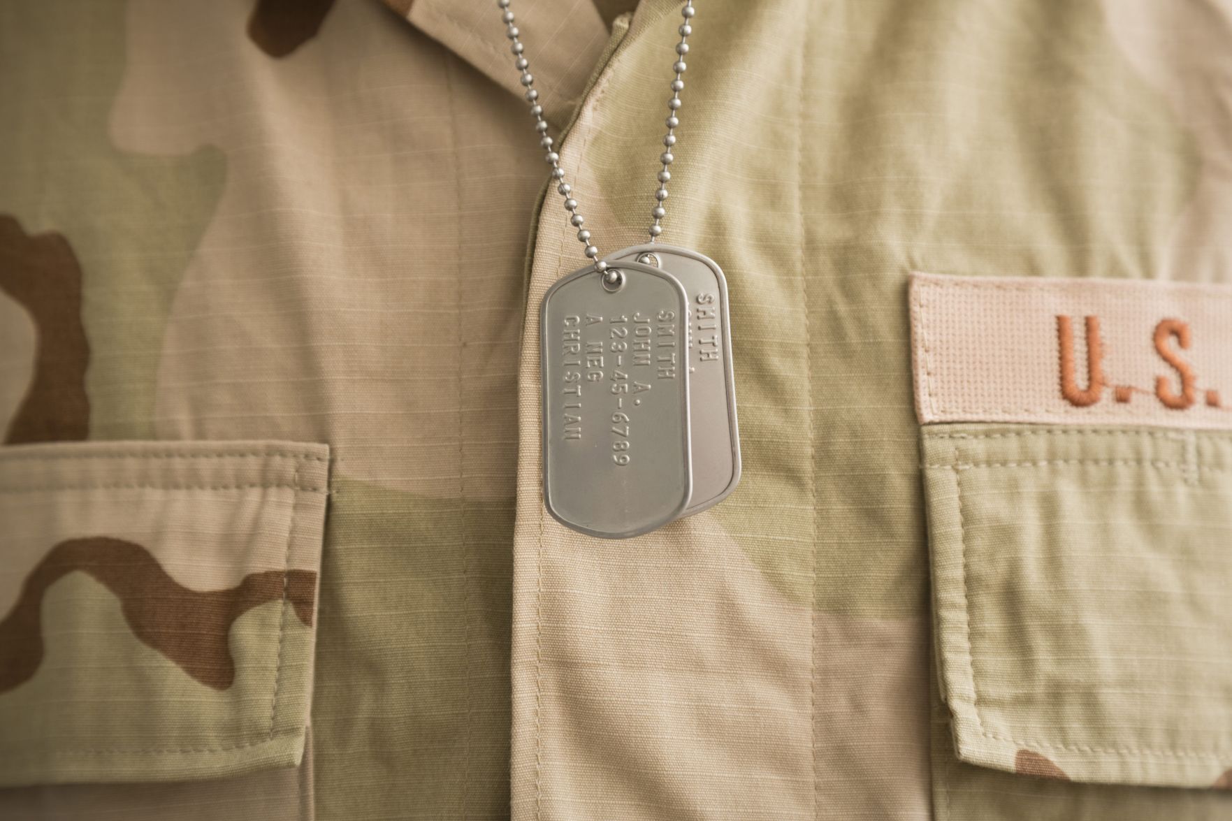 Veterans Day (copy)